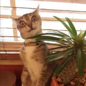 Meet your Posher, Marisa